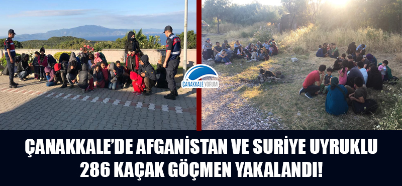 Çanakkale'de Afganistan ve Suriye uyruklu 286 kaçak göçmen yakalandı!