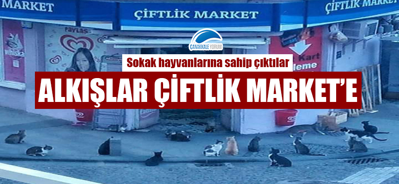 Alkışlar Çiftlik Market'e