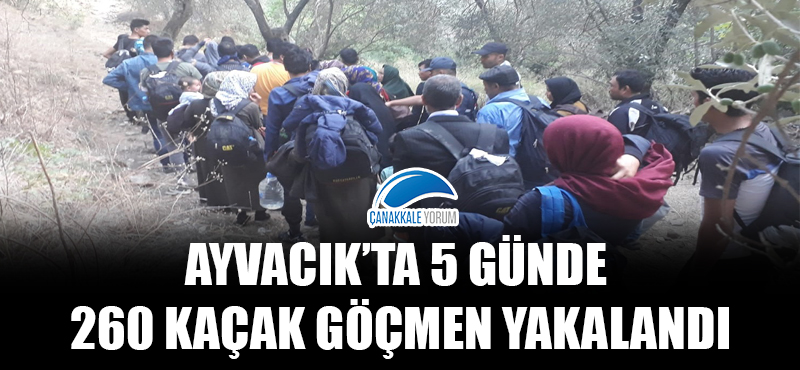 Ayvacık'ta 5 günde 260 kaçak göçmen yakalandı!