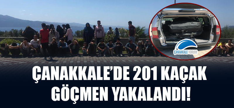 Çanakkale'de 201 kaçak göçmen yakalandı!