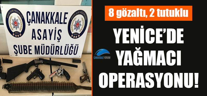 Yenice'de yağmacı operasyonu: 8 gözaltı, 2 tutuklu