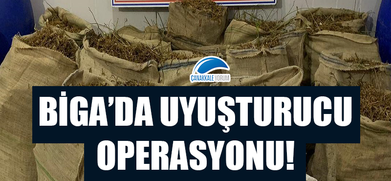 Biga'da uyuşturucu operasyonu!