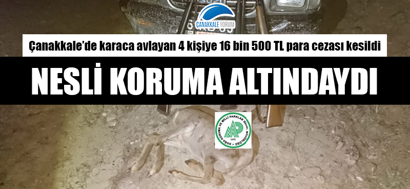 Nesli koruma altındaydı: Çanakkale'de karaca avlayan 4 kişiye 16 bin 500 TL para cezası!