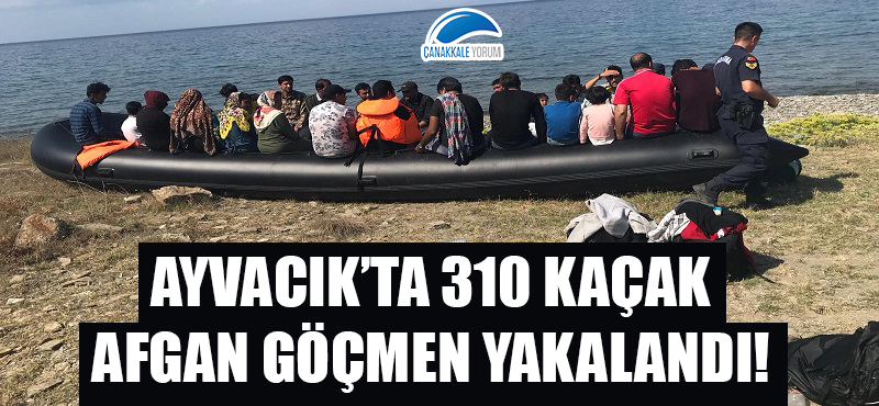 Ayvacık'ta 310 kaçak Afgan göçmen yakalandı!