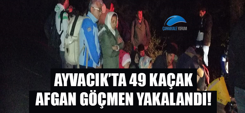 Ayvacık'ta 49 kaçak Afgan göçmen yakalandı!