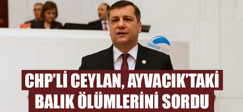 CHP'li Ceylan, Ayvacık'taki balık ölümlerini sordu