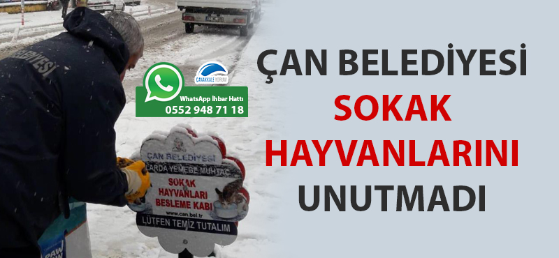 Çan Belediyesi sokak hayvanlarını unutmadı