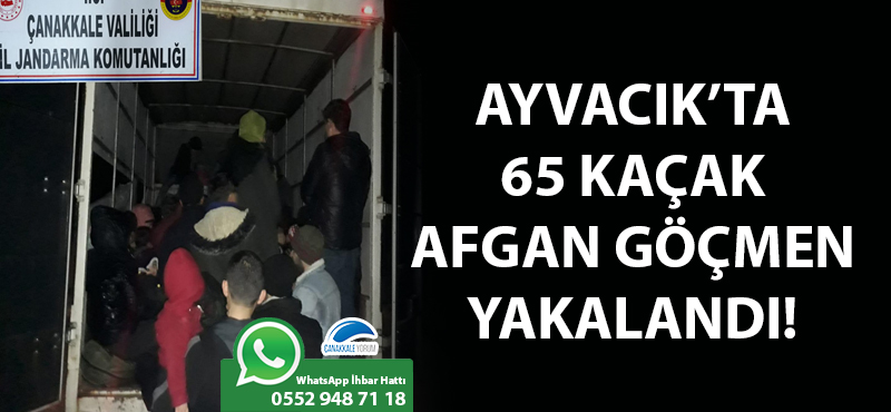 Ayvacık'ta 65 kaçak Afgan göçmen yakalandı!