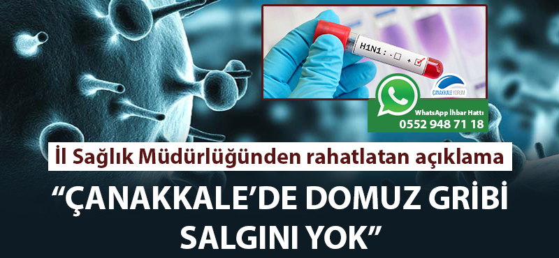 İl Sağlık Müdürlüğünden rahatlatan açıklama: "Çanakkale'de domuz gribi salgını yok"