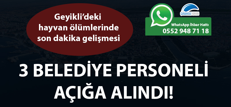 Geyikli'deki hayvan ölümlerinde son dakika gelişmesi: 3 belediye personeli açığa alındı