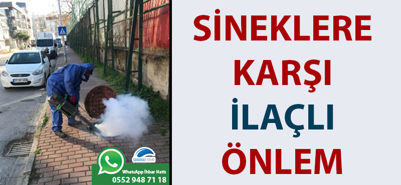 Sineklere karşı ilaçlı önlem