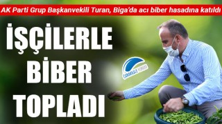 Turan, işçilerle biber topladı