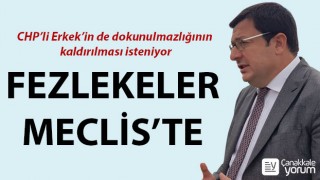 Dokunulmazlık fezlekeleri Meclis'te: CHP'li Erkek'in de dokunulmazlığının kaldırılması isteniyor