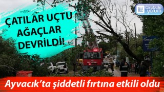 Ayvacık’ta şiddetli fırtına etkili oldu: Çatılar uçtu, ağaçlar devrildi!