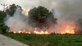 Çan’da fırtına ağaçları devirdi, enerji nakil hatları kopunca yangın çıktı!