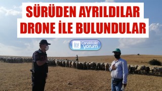 Gelibolu’da kaybolan 55 koyun drone ile bulundu