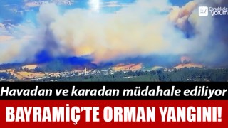 Bayramiç’te büyük orman yangını: Alevler gökyüzünü kapladı!