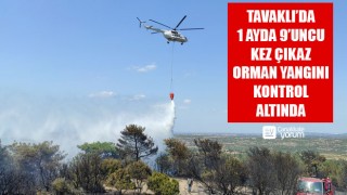 Tavaklı'da 1 ayda çıkan 9’uncu orman yangını kontrol altında