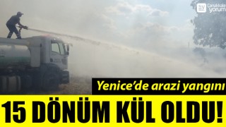 Yenice’de arazi yangını: 15 dönüm kül oldu!