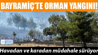 Bayramiç’te orman yangını!