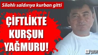 Çiftlikte kurşun yağmuru: Sahibini öldürüp, hayvanları vurdular!