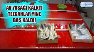 Denizlerde av yasağı kalktı, Çanakkale’de tezgahlar yine boş kaldı!