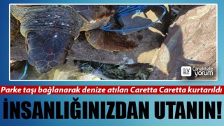 Parke taşı bağlanarak denize atılan Caretta Caretta kurtarıldı