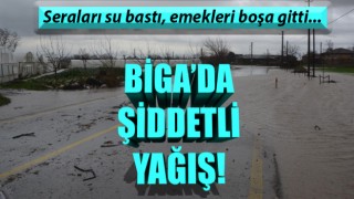 Biga’da şiddetli yağış: Seraları su bastı, emekleri heba oldu!