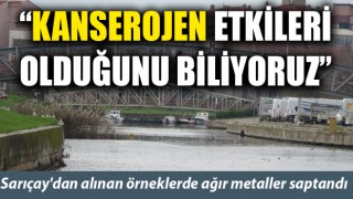 Sarıçay'dan alınan örneklerde ağır metaller saptandı: “Kanserojen etkilerinin olduğunu biliyoruz”