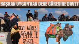 Başkan Uygun’dan deve güreşine davet