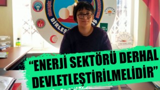 “Enerji sektörü derhal devletleştirilmelidir!”