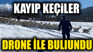 Kayıp keçiler drone yardımı ile bulundu