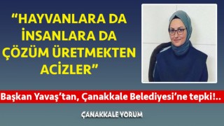 Başkan Yavaş’tan Çanakkale Belediyesi’ne tepki: “Hayvanlara da insanlara da çözüm üretmekten acizler”