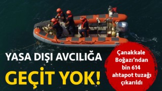 Çanakkale Boğazı’ndan bin 614 ahtapot tuzağı çıkarıldı