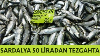 Çanakkale’de sardalya 50 liradan tezgahta