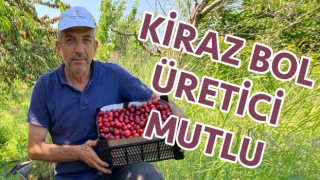 Lapseki kirazı üreticisinin yüzünü güldürdü