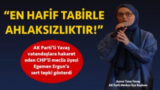 Başkan Yavaş’tan, vatandaşlara hakaret eden CHP’li meclis üyesine tepki: “En hafif tabirle ahlaksızlıktır!”