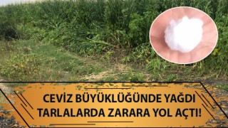 Çanakkale’de dolu yağışı etkili oldu: Ceviz büyüklüğünde yağdı, tarlalarda zarara yol açtı