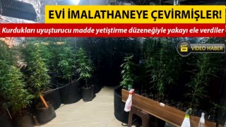 Çanakkale’de eve uyuşturucu madde yetiştirme düzeneği kuran 2 şüpheli yakalandı