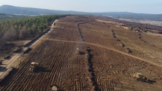 Çanakkale’de küle dönen 580 hektar alanda, 1 milyon fidan toprakla buluşturuluyor