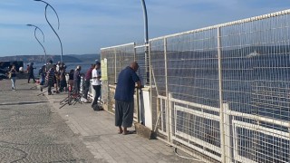 Çanakkale'de olta balıkçıları balık azlığından dertli