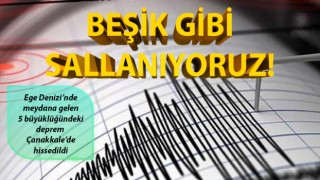 Ege'de 5 büyüklüğünde deprem: Çanakkale'yi de salladı!