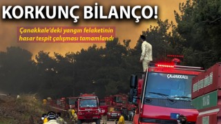 Çanakkale’deki yangın felaketinde korkunç bilanço!