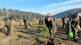 Çanakkale’de ‘6 Şubat 2023 Deprem Şehitleri Ormanı’ kuruldu