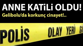 Gelibolu’da korkunç cinayet: Üniversite öğrencisi, annesini öldürdü!