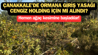 Çanakkale’de ‘ormana giriş yasağı’ Cengiz Holding için mi alındı?