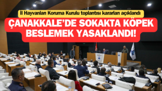 Çanakkale’de sokakta köpek beslemek yasaklandı!