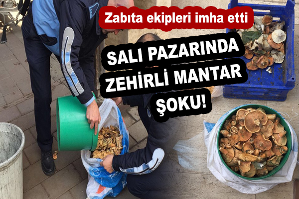 Salı pazarında zehirli mantar şoku!