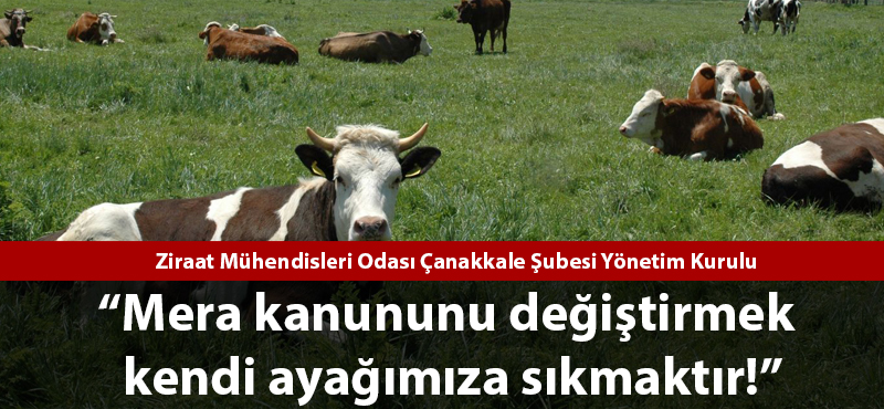 "Mera kanununu değiştirmek kendi ayağımıza kurşun sıkmaktır!"