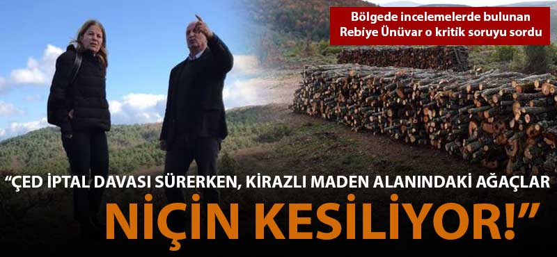 Rebiye Ünüvar: "ÇED iptal davası sürerken Kirazlı maden alanındaki ağaçlar niçin kesiliyor!"